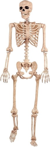 Seasons Pose-N-Stay Skeleton - Lot 671