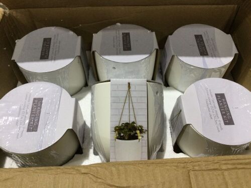 Case of (12) Hanging Planter Kits  - Lot 609