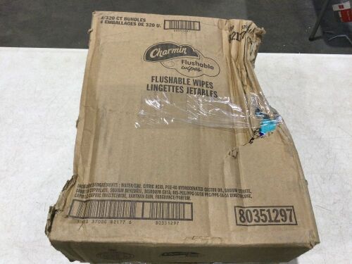 Charmin Flushable Wipes - Lot 1178