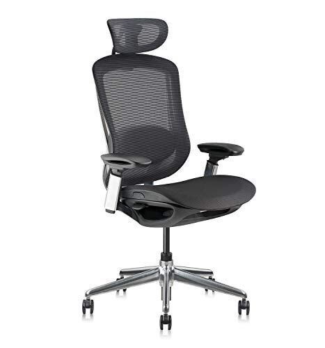 Ekstere Executive Office Chair Mesh Swivel With 4d Adjustable Armrest and Lumbar - Lot 19