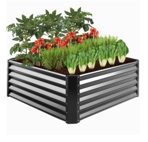 Outdoor Metal Raised Garden Bed, 4x4x1.5ft - Lot 66