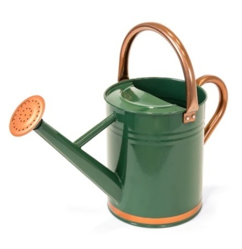 1-Gallon Galvanized Steel Watering Can - Lot 650