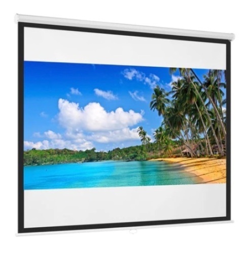 Diagonal 1:1 HD Pull-Down Manual Projector Screen, 119in - Lot 688