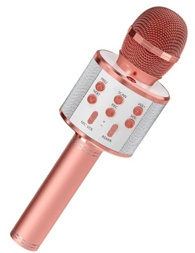 Karaoke Microphone, Powers Up, Appears new, Missing Aux Cord, Retail 29.99 - Lot 500