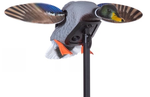 MOJO Outdoors Elite Series Mini Mallard Motorized Duck Decoy - Drake, E-Commerce Return, Untested - Lot 174
