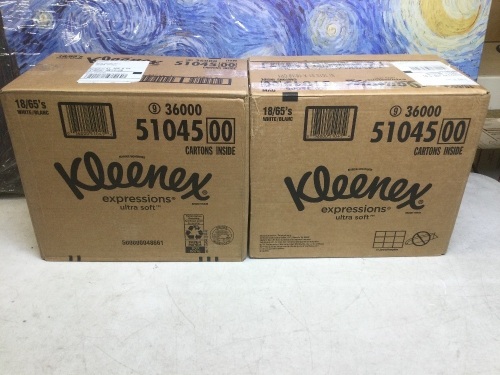 Lot of (2) Kleenex Expressions Ultra Soft Facial Tissues, 18 Cube Boxes - New - Lot 503