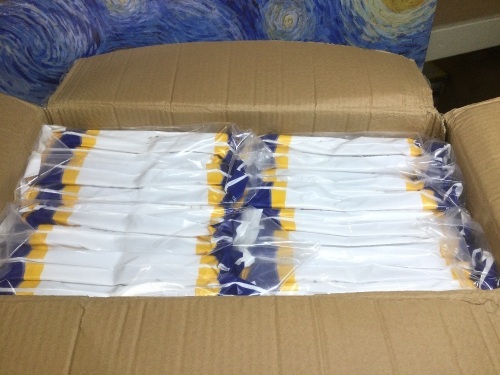 Case of Veva Premium Vacuum Cleaner Paper Dust Bags Style MM - New - Lot 1126