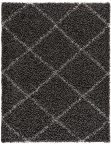 Moon Trellis Shaggy Dark Gray 2 ft. x 3 ft. Area Rug - Appears New  - Lot 803
