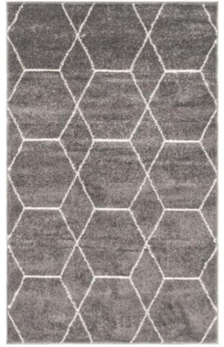 Trellis Frieze Dark Gray/Ivory 3' x 5' Geometric Area Rug - Appears New  - Lot 833