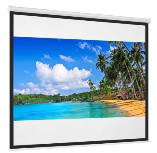 Diagonal 1:1 HD Pull-Down Manual Projector Screen - 119in - Lot 485