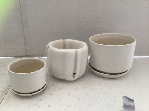 Potted Plant Kit, Appears New - Lot 553