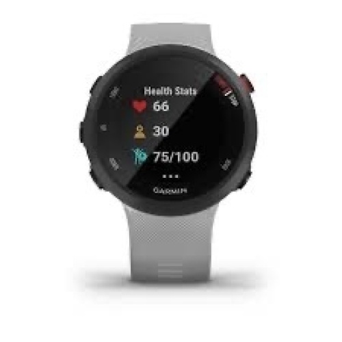 Garmin Forerunner 45 - Lot 529