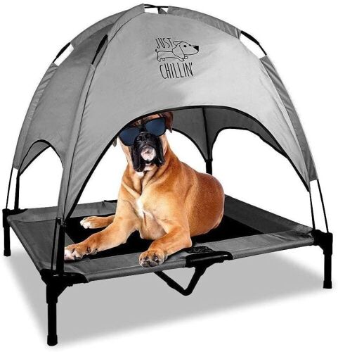 Floppy Dawg Just Chillin' Elevated Dog Bed - Lot 975