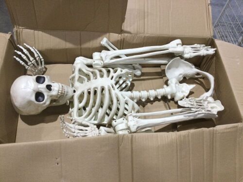 Crazy Bonez Pose-N-Stay Skeleton - One Hand Broken Off - Lot 560