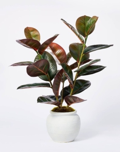 Lot of (2) Artificial Rubber Plant in Ceramic Pot, Appears New