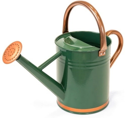 1-Gallon Galvanized Steel Watering Can w/ O-Ring, Top Handle - Lot 790