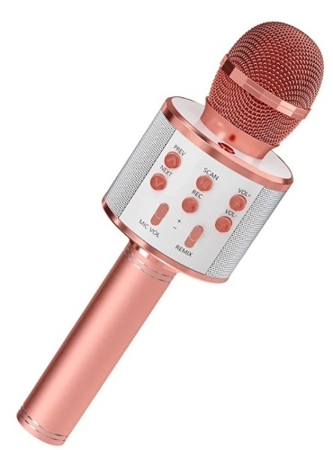 Bluetooth Karaoke Microphone, Powers Up, E-Commerce Return, Retail 29.99 - Lot 337