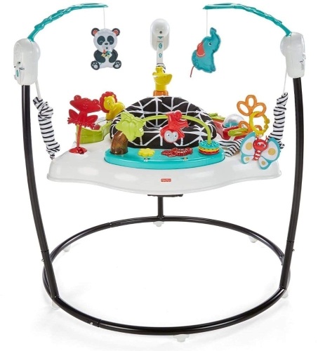 Fisher-Price Animal Wonders Jumperoo, White - Appears New  - Lot 650