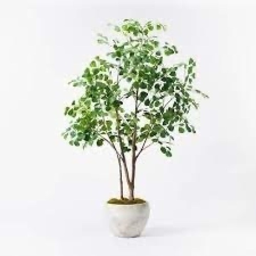 72" Artificial Ficus Tree - Lot 1012