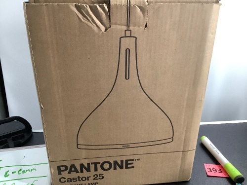 Pantone Castor 25 Pendant Lamp, Appears New, Untested