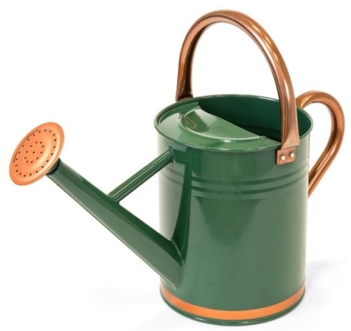 1-Gallon Galvanized Steel Watering Can w/ O-Ring, Top Handle - Lot 157