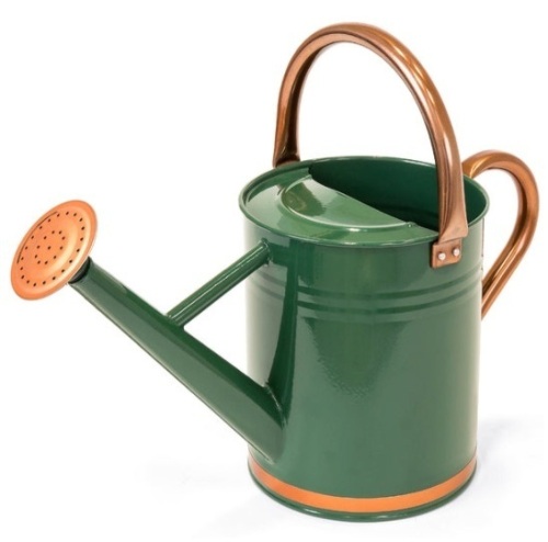 1-Gallon Galvanized Steel Watering Can w/ O-Ring, Top Handle - Lot 529