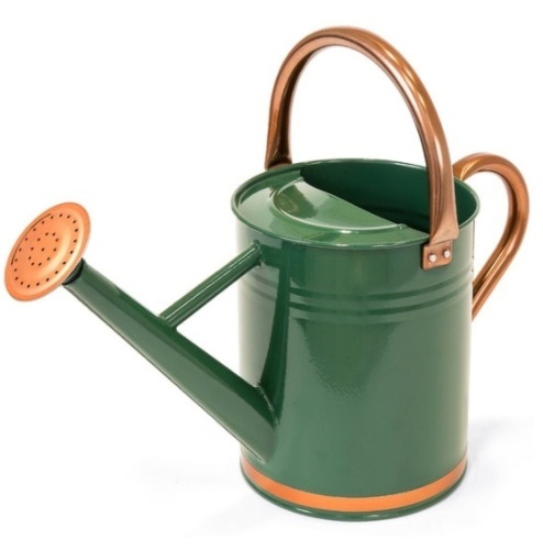 1-Gallon Galvanized Steel Watering Can w/ O-Ring, Top Handle - Lot 531