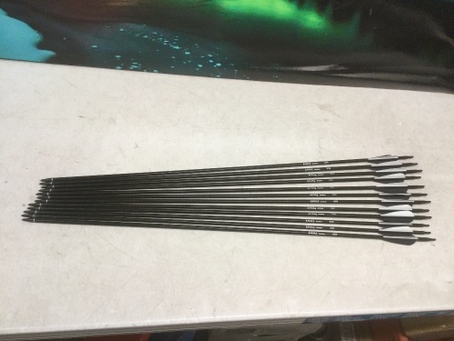 D&Q Archery Arrows, Set of 12 - Appear New - Lot 550