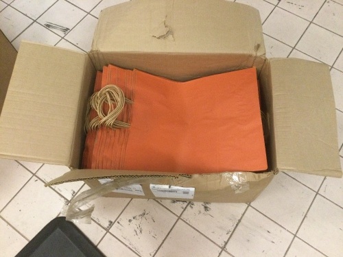 Terracotta Orange Kraft Gift Bags, 16" x 6" x 19", 200 Ct - Appears New - Lot 575
