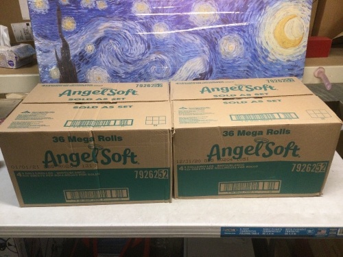 Lot of (2) Angel Soft Toilet Paper, 36 Mega Rolls - New - Lot 582