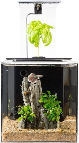 EcoQube Aquarium Desktop Betta Fish Tank - Appears New  - Lot 805