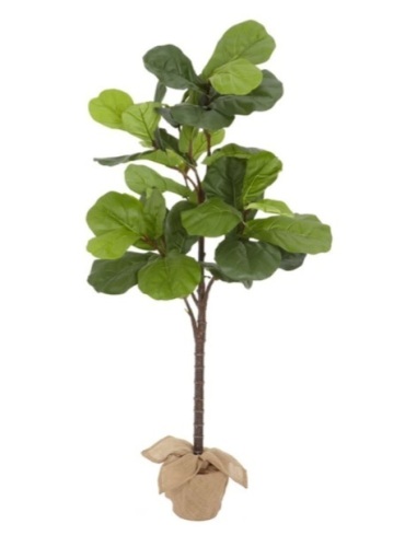 Pottery Barn Faux Potted Fiddle Leaf Fig Tree, Large, 6.9', New, Retail - $349 - Lot 153