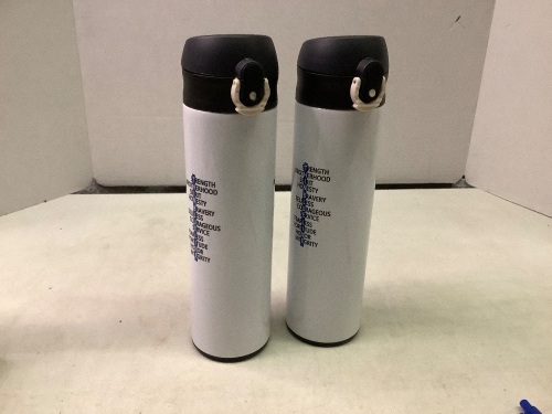 Lot of (2) Insulated Bottle, Appears New - Lot 254