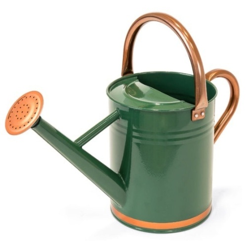 1-Gallon Galvanized Steel Watering Can w/ O-Ring, Top Handle - Lot 18