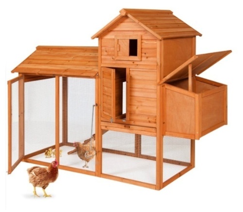 Multi-Level Wooden Chicken Coop - 80in - Lot 463