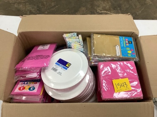 DG Party Mystery Box - Lot 1543