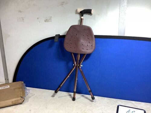 Walking Cane with Seat Attached - Lot 702