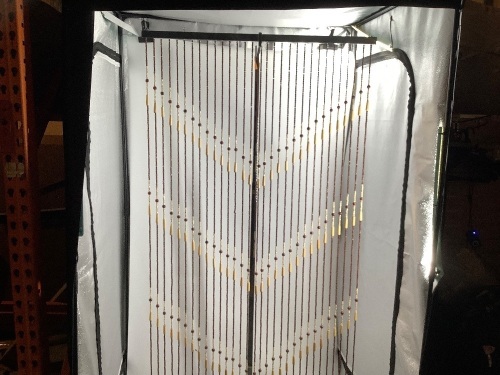 Hanging Beaded Curtain, Missing Hook, Ecommerce Return - Lot 234