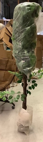 Large Decorative Fica Tree, Appears New - Lot 328