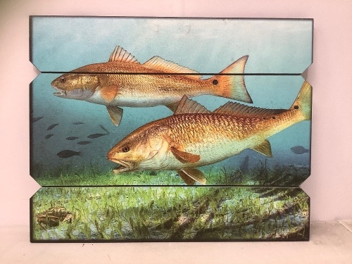 Fish Wall Art, Has Some Small Cracks, E-Comm Return - Lot 384