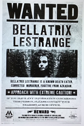 Trends International, Wizarding:Harry Potter-Bellatrix, Wanted Wall Poster, 22"x34", Like New, Retail - $19.99 - Lot 88