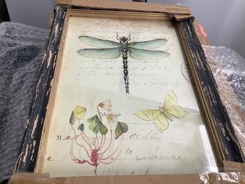 Dragonfly/ Beatle Wall Art, Appears New - Lot 110