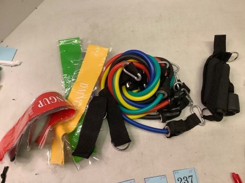 Pamyvia Resistance Bands, Set of 5, Appears New - Lot 237