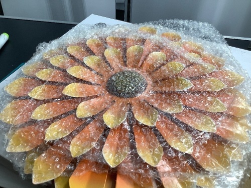 Metal Flower Wall Art, Appears New - Lot 504