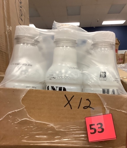 Faber Hand Sanitizer 16 oz. PET Bottles, 12 Pack - Lot 53