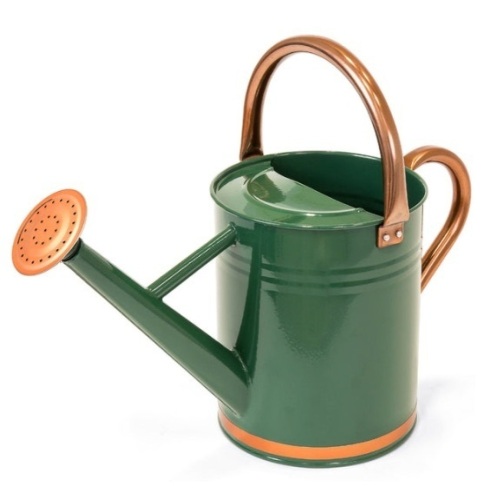 1-Gallon Galvanized Steel Watering Can w/ O-Ring, Top Handle - Lot 80