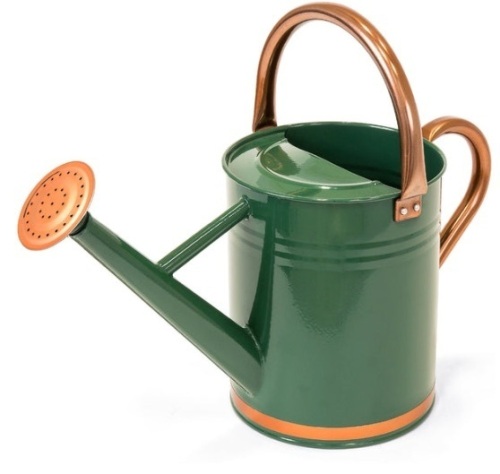 1-Gallon Galvanized Steel Watering Can w/ O-Ring, Top Handle - Lot 350