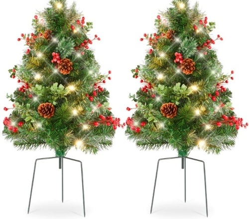 BCP Set of 2 Pre-Lit Pathway Christmas Trees w/ Pine Cones, Timer - 24.5in, SKY5179 - Lot 508