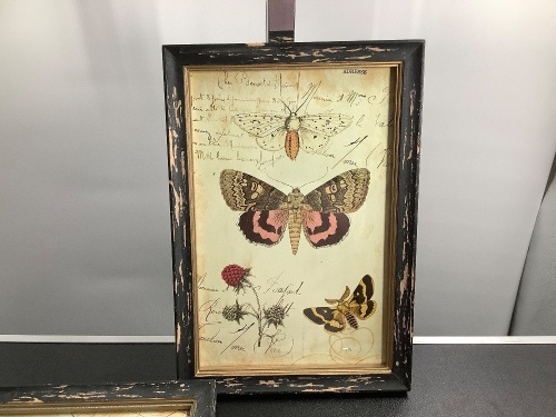 Set of 2 Butterfly Wall Decor, Appears New - Lot 231