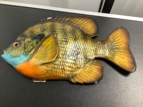 Fish Wall Decor, Chipped, Ecommerce Return - Lot 464
